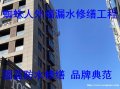 固蓝建筑蜘蛛人外墙漏水修缮工程