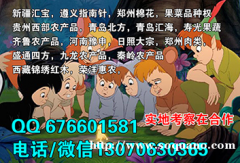 遵义指南针本地开户操盘室可实地做盘代理加入0门槛支持配资