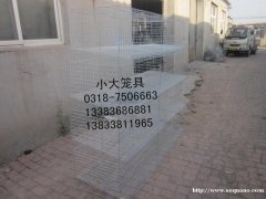 供应鸡鸽兔笼，狐狸笼，貉笼，鹌鹑笼，宠物笼及饮水器