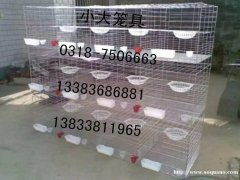 供应鸡鸽兔笼，狐狸笼，貉笼，鹌鹑笼，宠物笼及饮水器