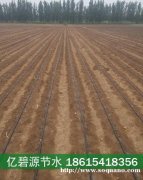 成武田区灌溉自动水肥一体化一套多钱