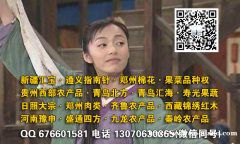 日照大宗开户白盘晚盘兼容果菜品种权配资相同操作流程