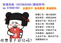 日照大宗开户白盘晚盘兼容果菜品种权配资相同操作流程
