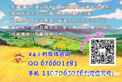 郑州棉花配资低中高档账户任你选搭配不同杠杆自由交易