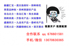 郑州棉花配资低中高档账户任你选搭配不同杠杆自由交易