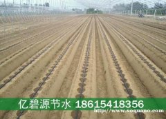 定陶大棚温室蔬菜滴灌滴管长度