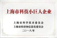 软件著作权-上海帕齐咨询