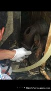 浦东金桥疏通下水道 新金桥路管道疏通清洗