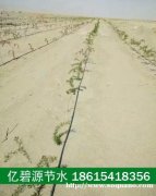 定陶大棚灌溉系统农业滴灌管成本