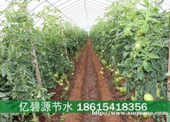 东明大棚西红柿滴灌管多少钱一梱
