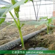 东明大棚西红柿滴灌管多少钱一梱