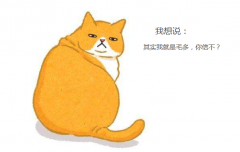 三餐正常吃体重一样往下掉