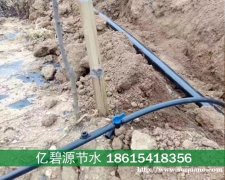 郓城苗木迷宫滴灌带连接主管阀门