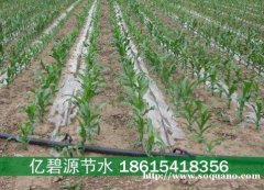东明玉米小麦一亩地滴灌带多少钱
