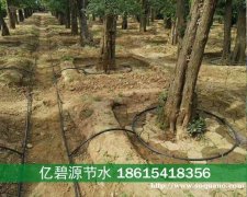 单县苗木培育滴灌设施多少钱一亩