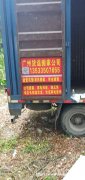 广州货车出租·天河货车出租·广州面包车出租·货运搬家·广州搬