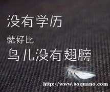 大学本科学历热门专业全程托管网络远程教育招生简章