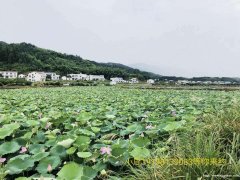 长沙旅游最好玩的地方 长沙旅游好去处