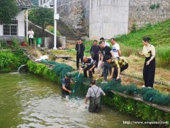 长沙端午农家乐旅游 长沙最好玩的农家乐 长沙农家乐一日游