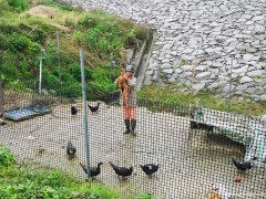 长沙旅游、野炊一日游、哪里最好玩的农家乐