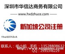 梧州如何注册申请新加坡公司？