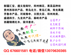 天元农商开户理性持仓持续盈利天元农商配资账号不局限