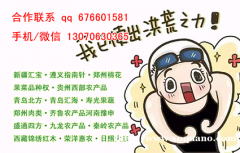 盛通四方下单员开/户操作模式简单当天免费培训提成高