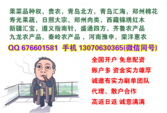 内蒙古大宗开户市场行情活跃下单员提成高加财务结算