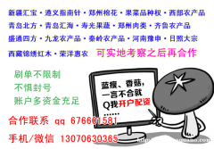 延川供应链代理招商开户了解市场规则配资放大盈利以小博大