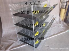 出售鸡笼鸽笼兔笼猫笼狗笼鹧鸪笼鹌鹑笼运输笼兔笼门鸽笼门 饲料