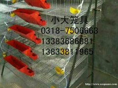 出售鸡笼鸽笼兔笼猫笼狗笼鹧鸪笼鹌鹑笼运输笼兔笼门鸽笼门 饲料