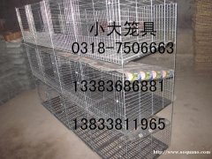 出售鸡笼鸽笼兔笼猫笼狗笼鹧鸪笼鹌鹑笼运输笼兔笼门鸽笼门 饲料