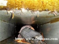 风机清洗 成都浦江机关单位厨房油烟机清洗