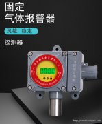 RBK-6000-ZL30甲烷泄露报警器