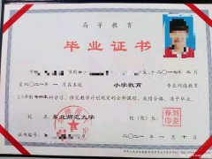 小学教育学前教育专本科学历东北师范大学网络远程招生