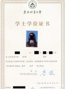 自考助学招生东北林业大学软件工程专业本科毕业快