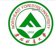 自考助学招生东北林业大学软件工程专业本科毕业快