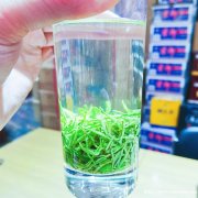 李记武当道茶总经销李氏典藏端午节特惠