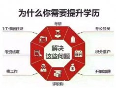 软件工程产品设计专升本东北林业大学助学自考招生