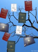 西昌学院自考：市场营销专本科，学历提升优选